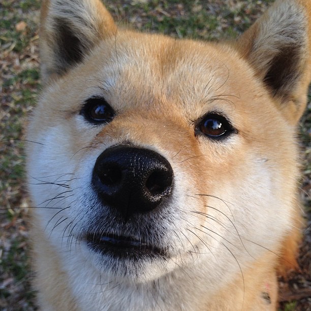 体育新闻中心上线体育赛事舆情监测预警平台,专业的体育新闻网站