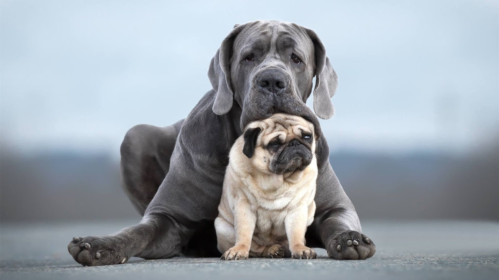 体育社团活动纳入综合素质评价体系,体育社团活动纳入综合素质评价体系吗