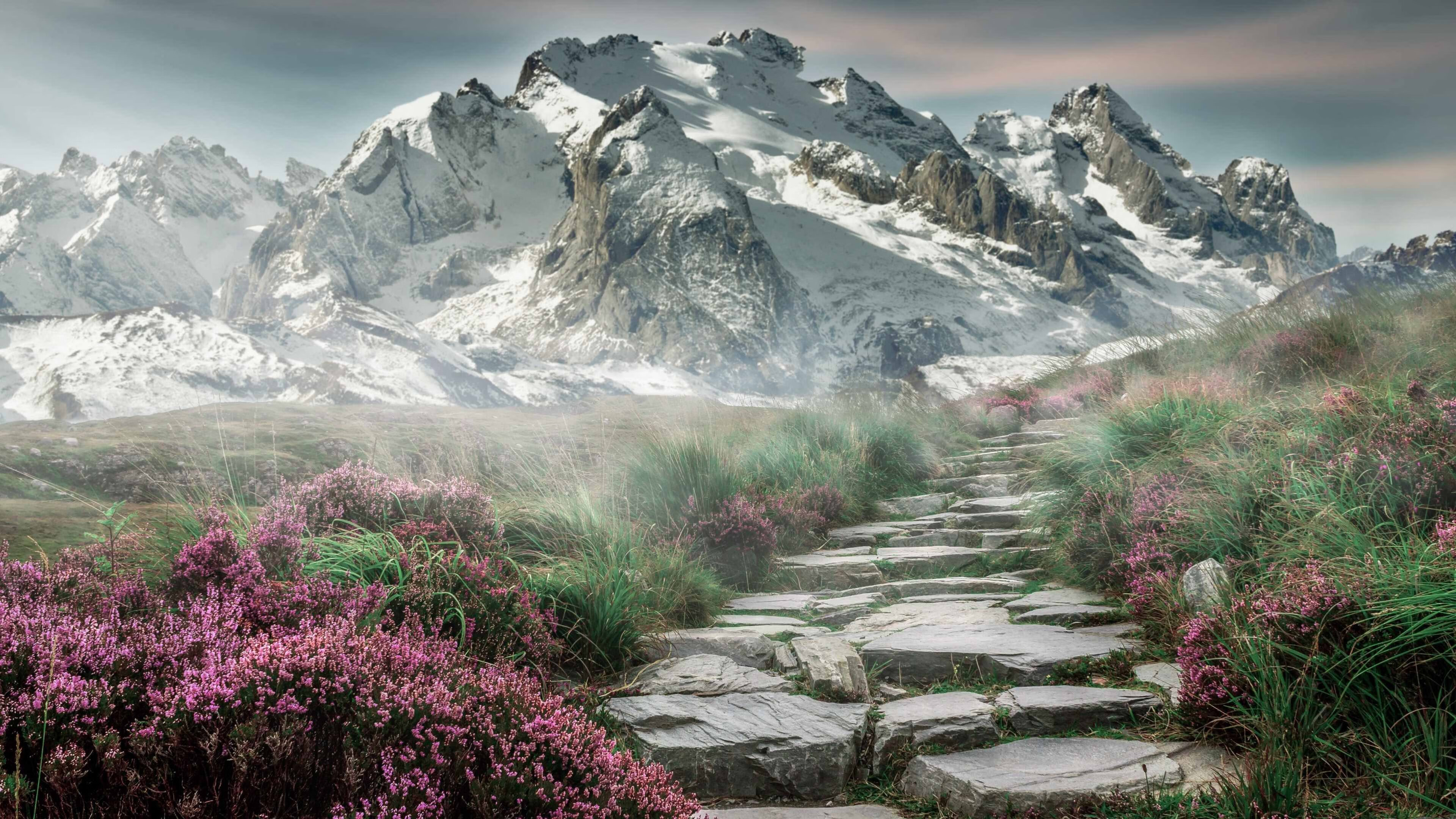 高位压迫得分率显著提升，高位压迫战术