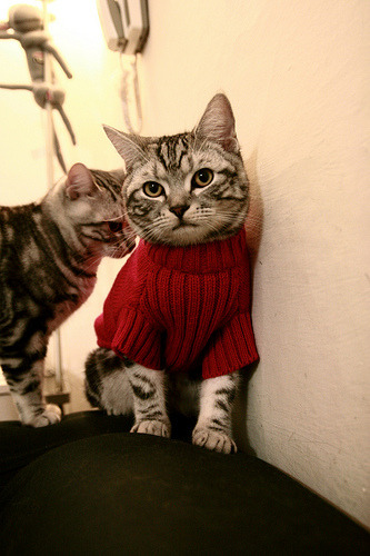 东契奇强调化解防守压力是稳胜关键，东契奇进攻集锦