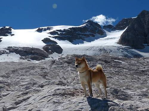 中超球员入选国家队比例成为俱乐部实力参考指标，中超中国球员