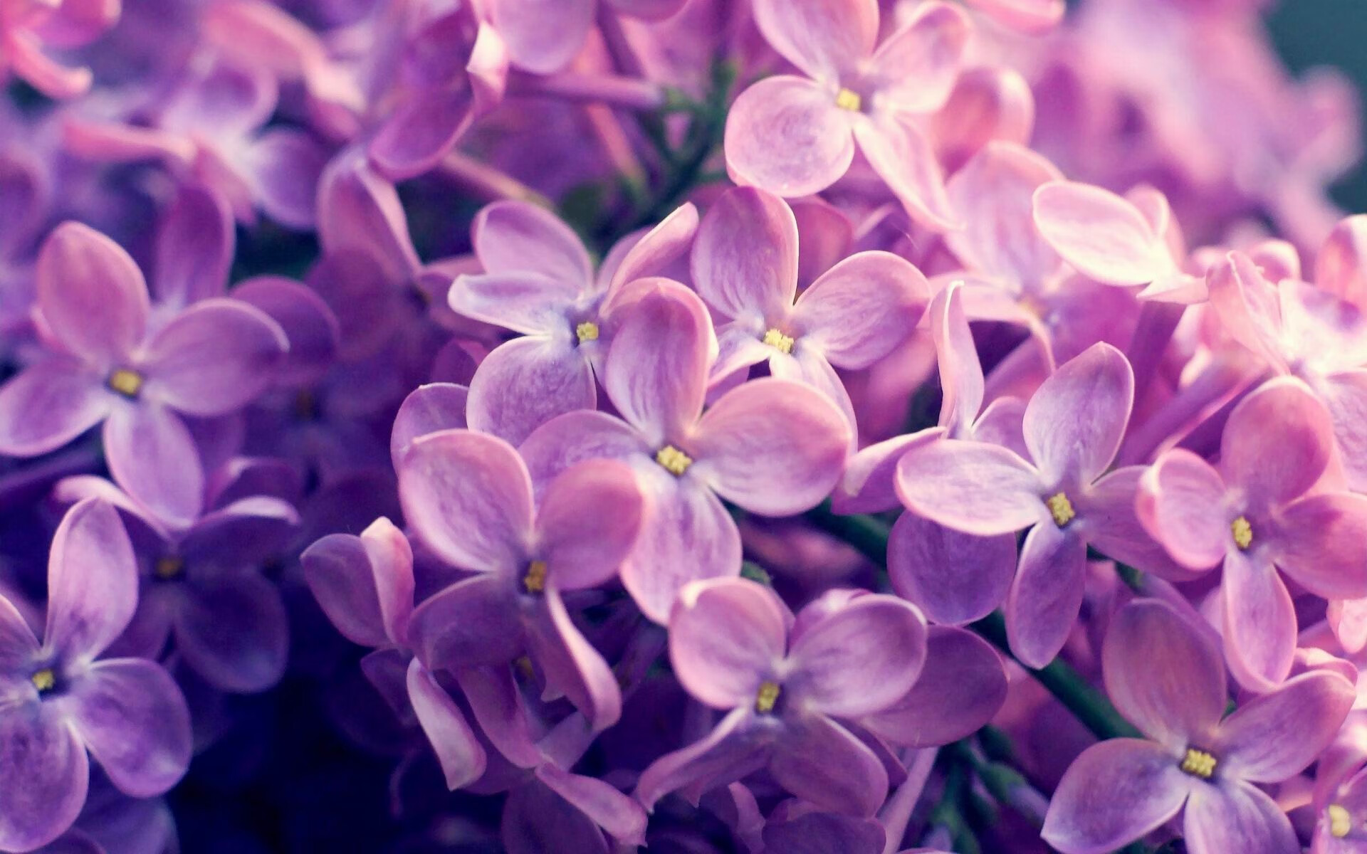 星空体育入口官网-塔特稳定的发挥帮助袋鼠队克服强敌，屡次逆转比赛