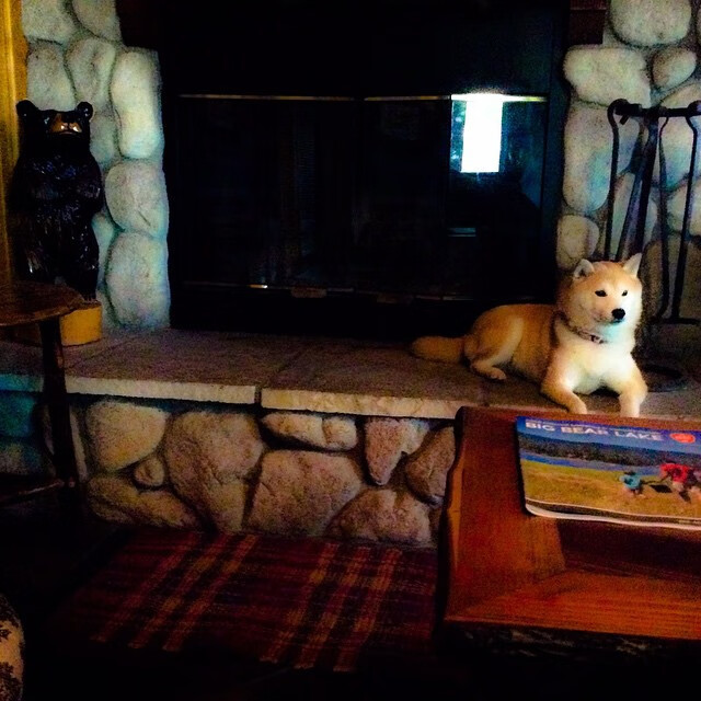 希腊女篮在欧洲锦标赛中再夺金牌，传统强队再续辉煌，希腊女球迷